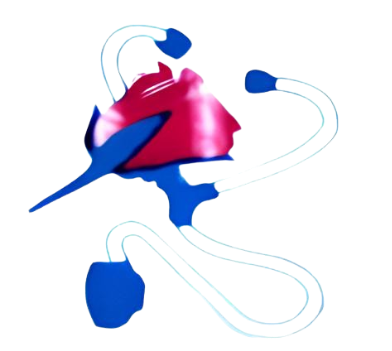 Tsegereda Logo
